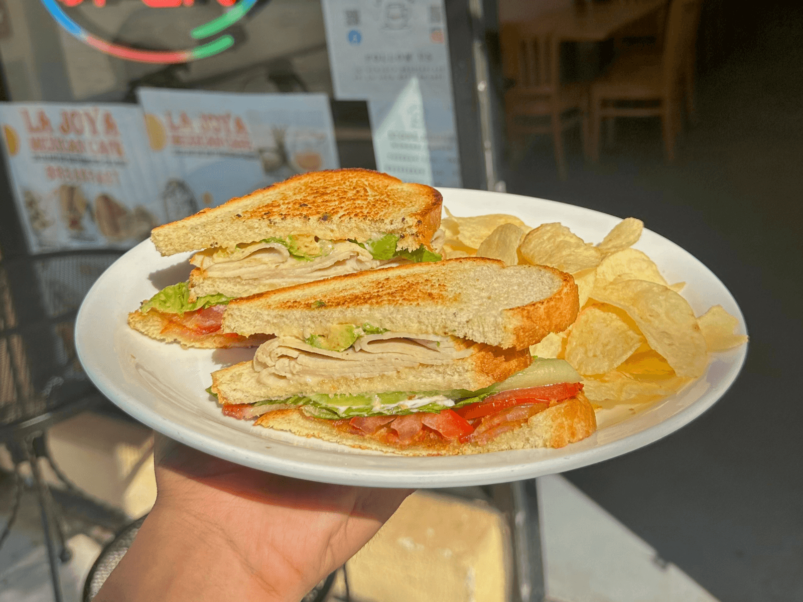 Turkey sandwich